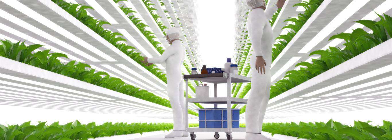 Vertical farm-Rack fans